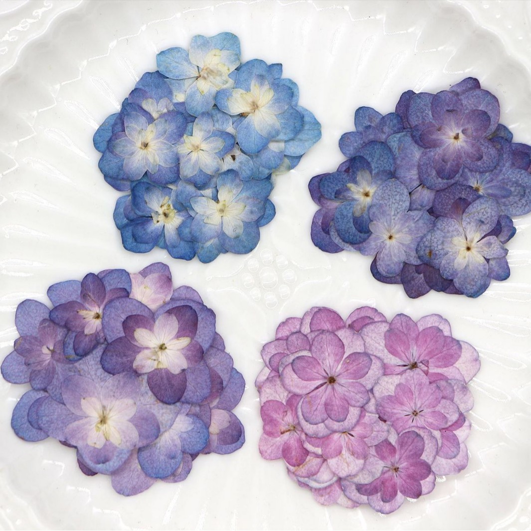 Art And Craft Photos - 60Pcs Mini Double-Flowered Hydrangea Dried Flowers