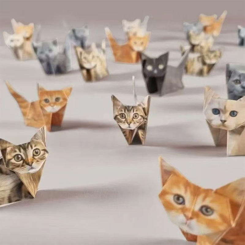 Creative DIY Origami Handmade  - Art Craft Cat recension och pris