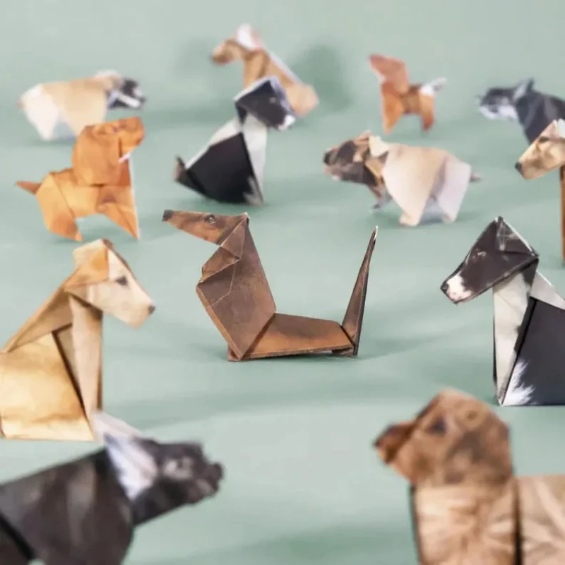 Creative DIY Origami Paper Set - Art Craft Cat recension och pris