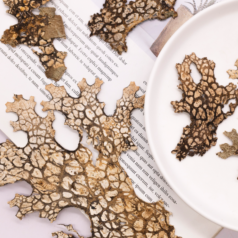 4pcs,Rare Bark Natural Pressed - Art And Craft Photos recension och pris