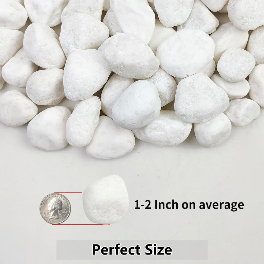 1-2 Inch White Pebbles for Ind - Art Craft Vase recension och pris