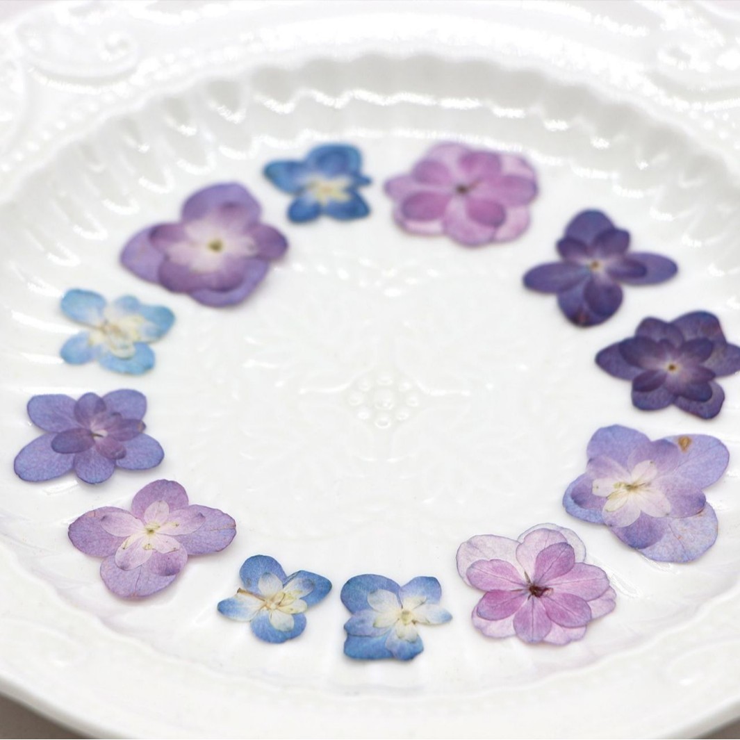 60Pcs Mini Double-Flowered Hyd - Art And Craft Photos recension och pris